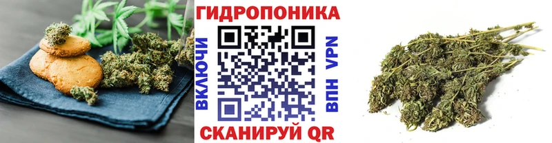 Купить закладки  Тихвин  Печенье с ТГК марихуана 