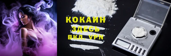 винт Дмитриев