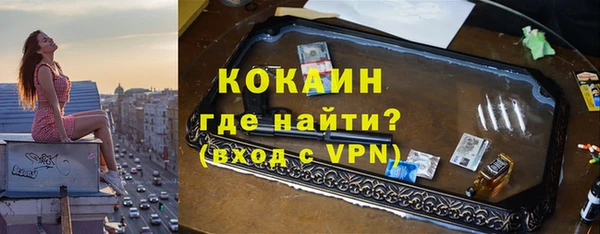 винт Дмитриев