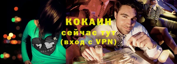 винт Дмитриев