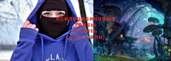 дживик Дмитровск