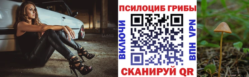 Псилоцибиновые грибы ЛСД  Купить закладки  Тихвин 